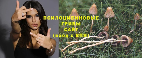 синтетический гашиш Медногорск
