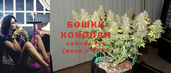 ECSTASY Медвежьегорск