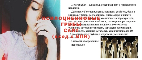 ECSTASY Медвежьегорск