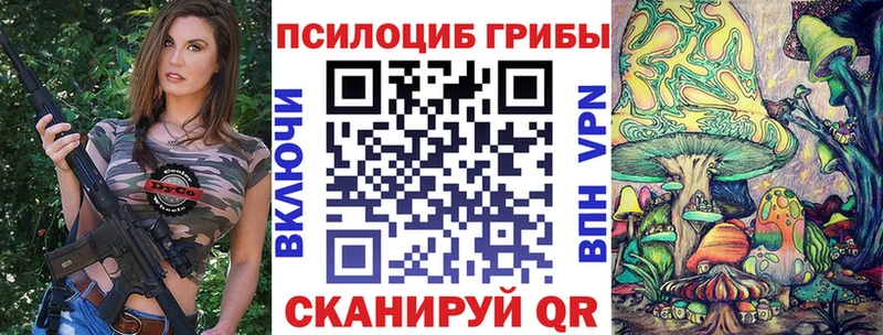Псилоцибиновые грибы прущие грибы  Ессентукская 